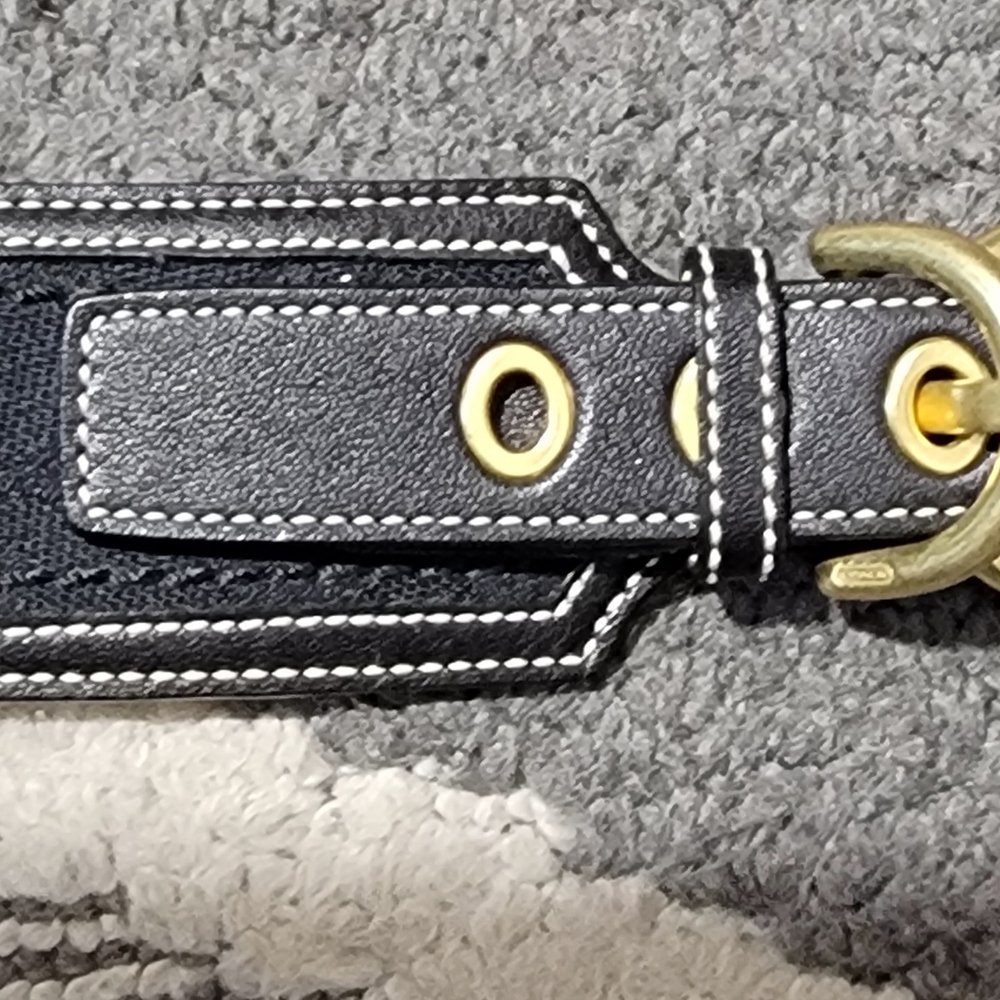Black Leather Strap with Gold Accents